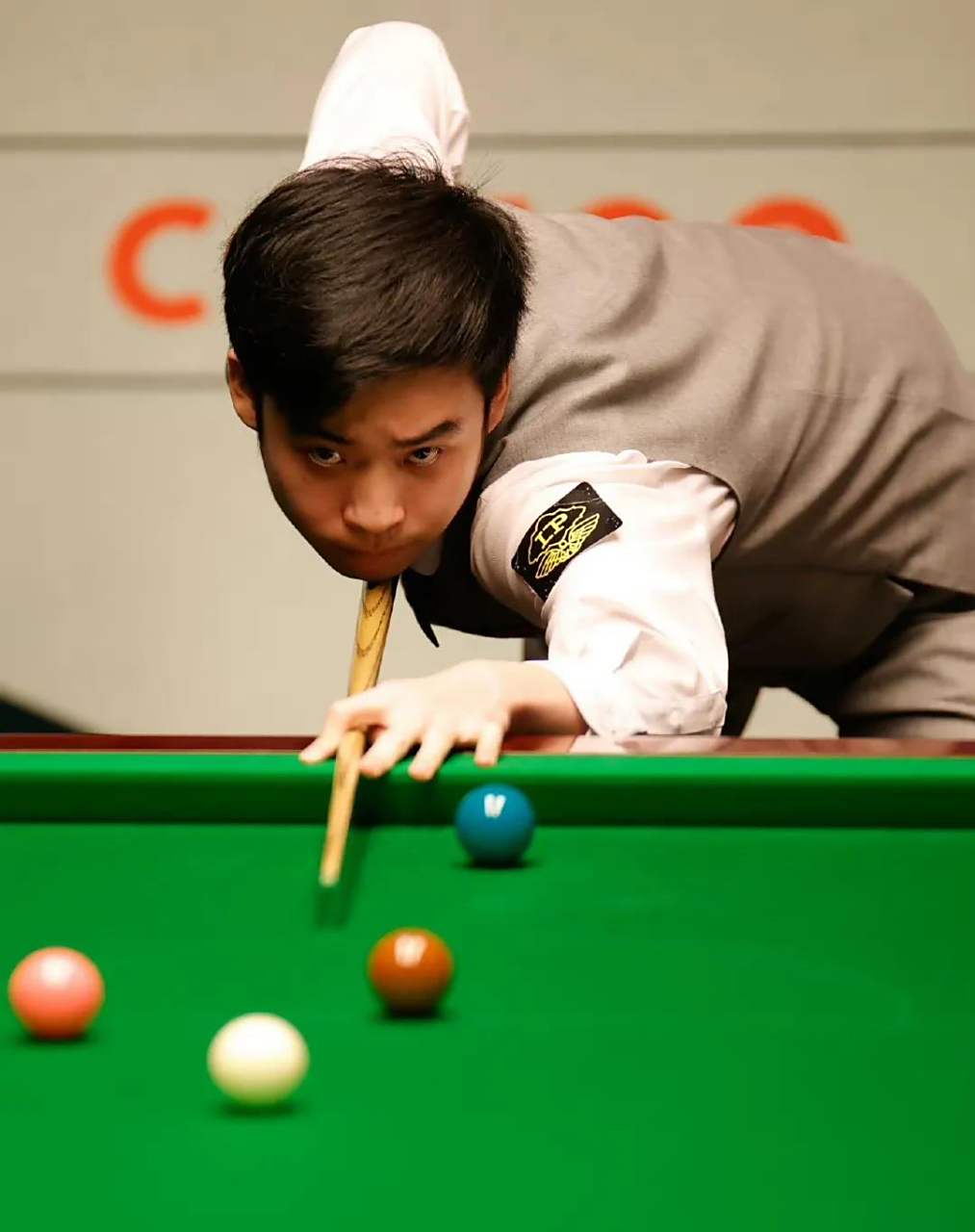 从而解读这 从而解读这