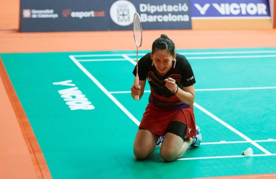 球迷看到 球迷看到