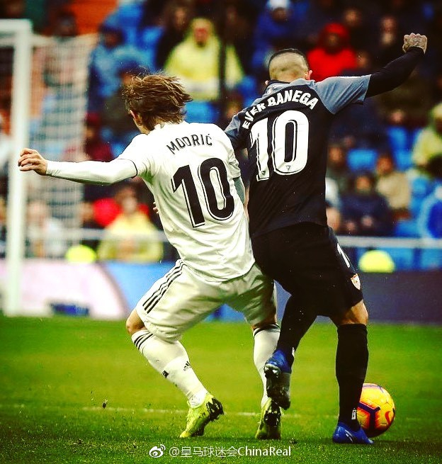 球得分比例 球得分比例